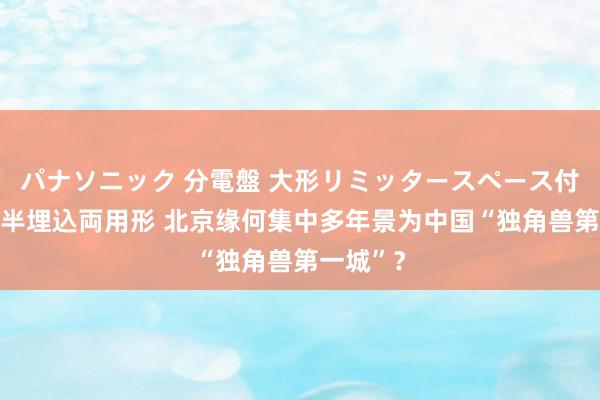 パナソニック 分電盤 大形リミッタースペース付 露出・半埋込両用形 北京缘何集中多年景为中国“独角兽第一城”？