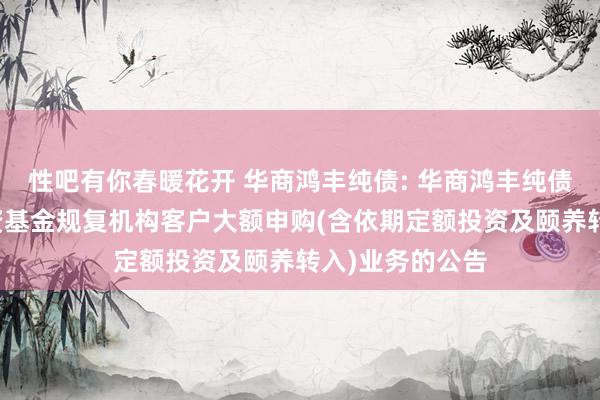 性吧有你春暖花开 华商鸿丰纯债: 华商鸿丰纯债债券型证券投资基金规复机构客户大额申购(含依期定额投资及颐养转入)业务的公告