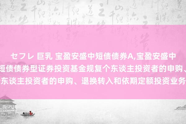 セフレ 巨乳 宝盈安盛中短债债券A,宝盈安盛中短债债券C: 宝盈安盛中短债债券型证券投资基金规复个东谈主投资者的申购、退换转入和依期定额投资业务的公告