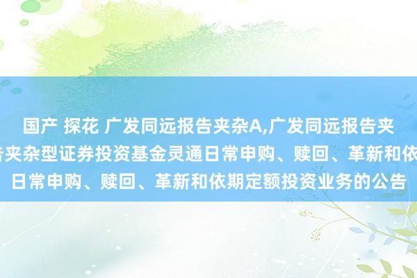 国产 探花 广发同远报告夹杂A,广发同远报告夹杂C: 对于广发同远报告夹杂型证券投资基金灵通日常申购、赎回、革新和依期定额投资业务的公告