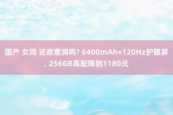 国产 女同 还故意润吗? 6400mAh+120Hz护眼屏, 256GB高配降到1180元