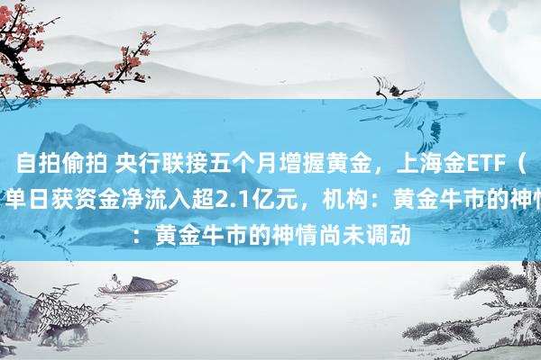 自拍偷拍 央行联接五个月增握黄金，上海金ETF（159830）单日获资金净流入超2.1亿元，机构：黄金牛市的神情尚未调动