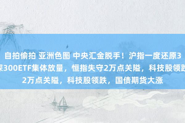 自拍偷拍 亚洲色图 中央汇金脱手！沪指一度还原3100点关隘，沪深300ETF集体放量，恒指失守2万点关隘，科技股领跌，国债期货大涨