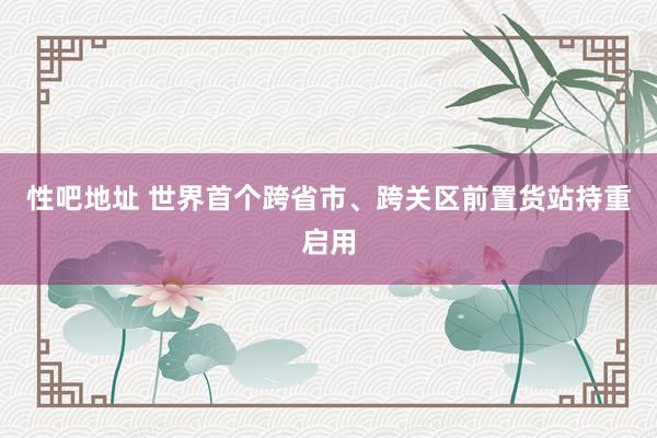 性吧地址 世界首个跨省市、跨关区前置货站持重启用
