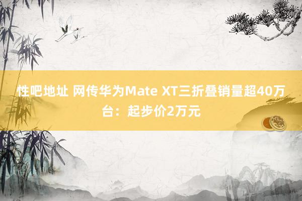 性吧地址 网传华为Mate XT三折叠销量超40万台：起步价2万元