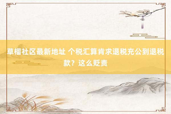 草榴社区最新地址 个税汇算肯求退税充公到退税款？这么贬责