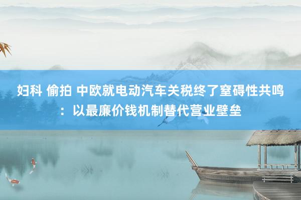 妇科 偷拍 中欧就电动汽车关税终了窒碍性共鸣：以最廉价钱机制替代营业壁垒