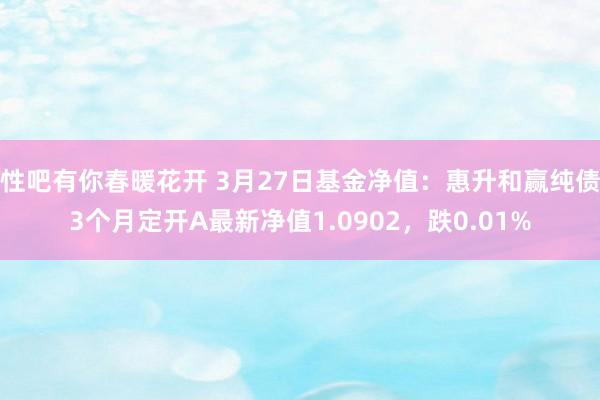 性吧有你春暖花开 3月27日基金净值：惠升和赢纯债3个月定开A最新净值1.0902，跌0.01%