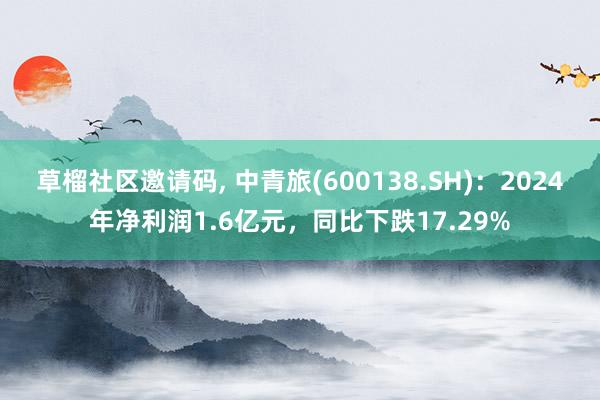 草榴社区邀请码, 中青旅(600138.SH)：2024年净利润1.6亿元，同比下跌17.29%
