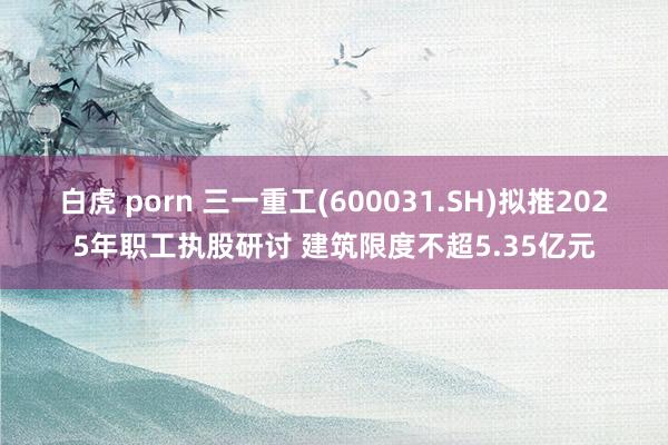 白虎 porn 三一重工(600031.SH)拟推2025年职工执股研讨 建筑限度不超5.35亿元