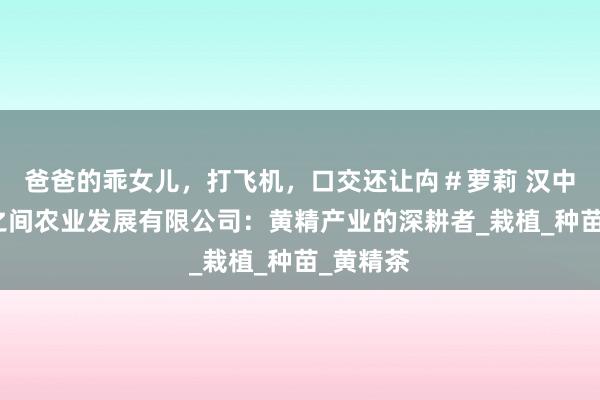 爸爸的乖女儿，打飞机，口交还让禸＃萝莉 汉中市山水之间农业发展有限公司：黄精产业的深耕者_栽植_种苗_黄精茶