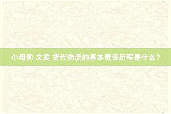 小母狗 文爱 货代物流的基本责任历程是什么？
