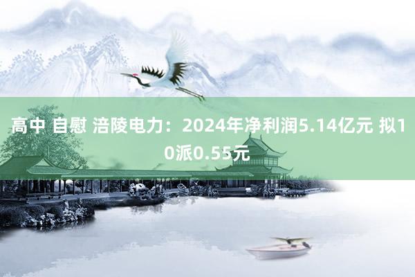 高中 自慰 涪陵电力：2024年净利润5.14亿元 拟10派0.55元