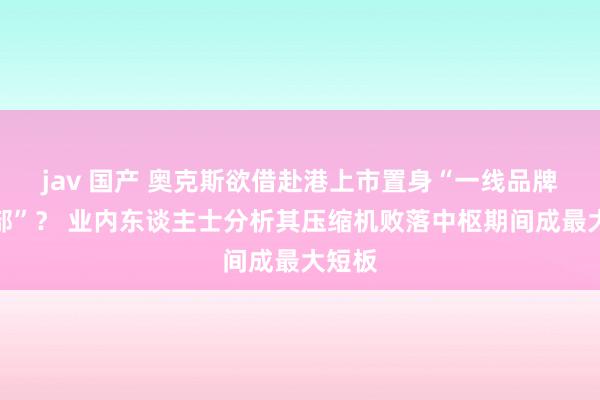 jav 国产 奥克斯欲借赴港上市置身“一线品牌俱乐部”？ 业内东谈主士分析其压缩机败落中枢期间成最大短板