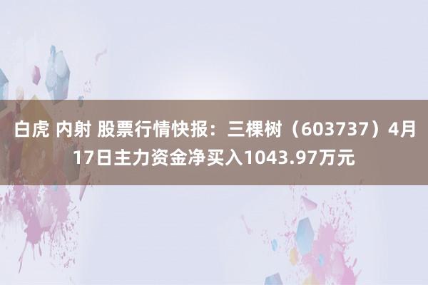 白虎 内射 股票行情快报：三棵树（603737）4月17日主力资金净买入1043.97万元
