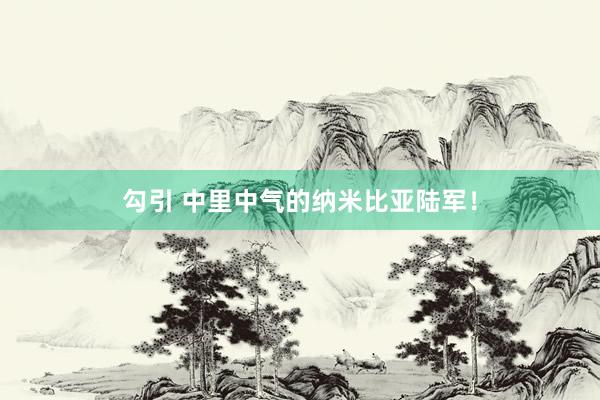 勾引 中里中气的纳米比亚陆军！