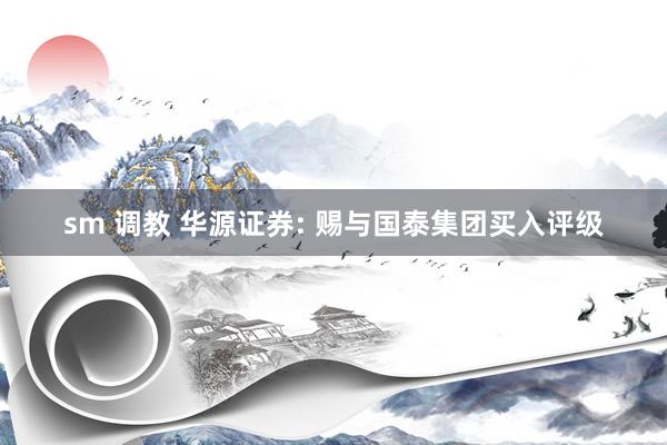 sm 调教 华源证券: 赐与国泰集团买入评级