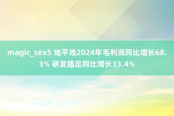 magic_sex5 地平线2024年毛利润同比增长68.3% 研发插足同比增长33.4%