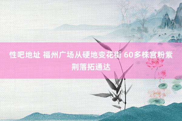 性吧地址 福州广场从硬地变花街 60多株宫粉紫荆落拓通达