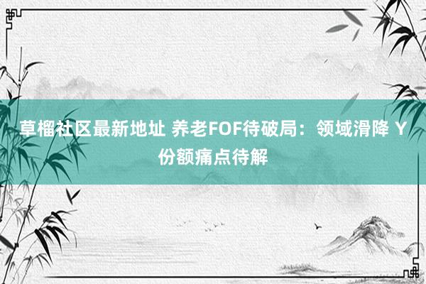 草榴社区最新地址 养老FOF待破局：领域滑降 Y份额痛点待解