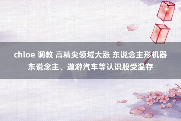 chloe 调教 高精尖领域大涨 东说念主形机器东说念主、遨游汽车等认识股受温存