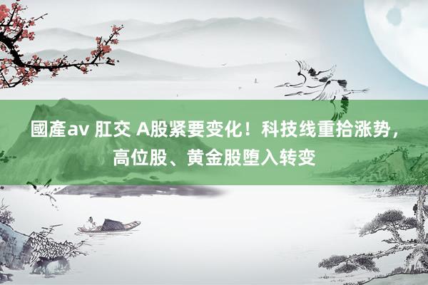 國產av 肛交 A股紧要变化！科技线重拾涨势，高位股、黄金股堕入转变