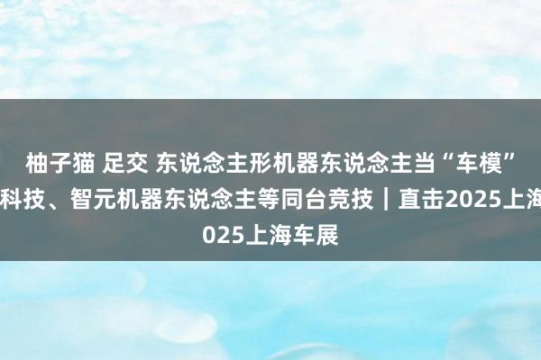 柚子猫 足交 东说念主形机器东说念主当“车模” 宇树科技、智元机器东说念主等同台竞技｜直击2025上海车展