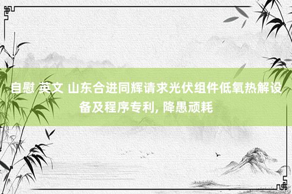 自慰 英文 山东合进同辉请求光伏组件低氧热解设备及程序专利, 降愚顽耗