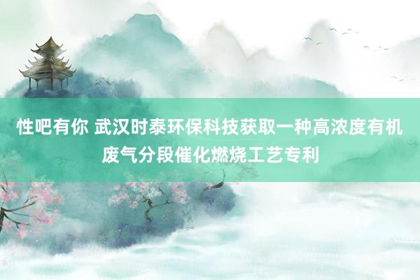 性吧有你 武汉时泰环保科技获取一种高浓度有机废气分段催化燃烧工艺专利