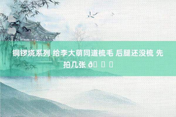 铜锣烧系列 给李大萌同道梳毛 后腿还没梳 先拍几张 😃